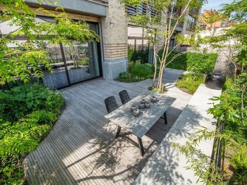 Wie verschönern Sie Ihre Terrasse mit dem richtigen Baum?