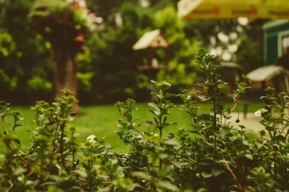 Kleiner Garten? Auch dafür gibt es tolle Möglichkeiten!