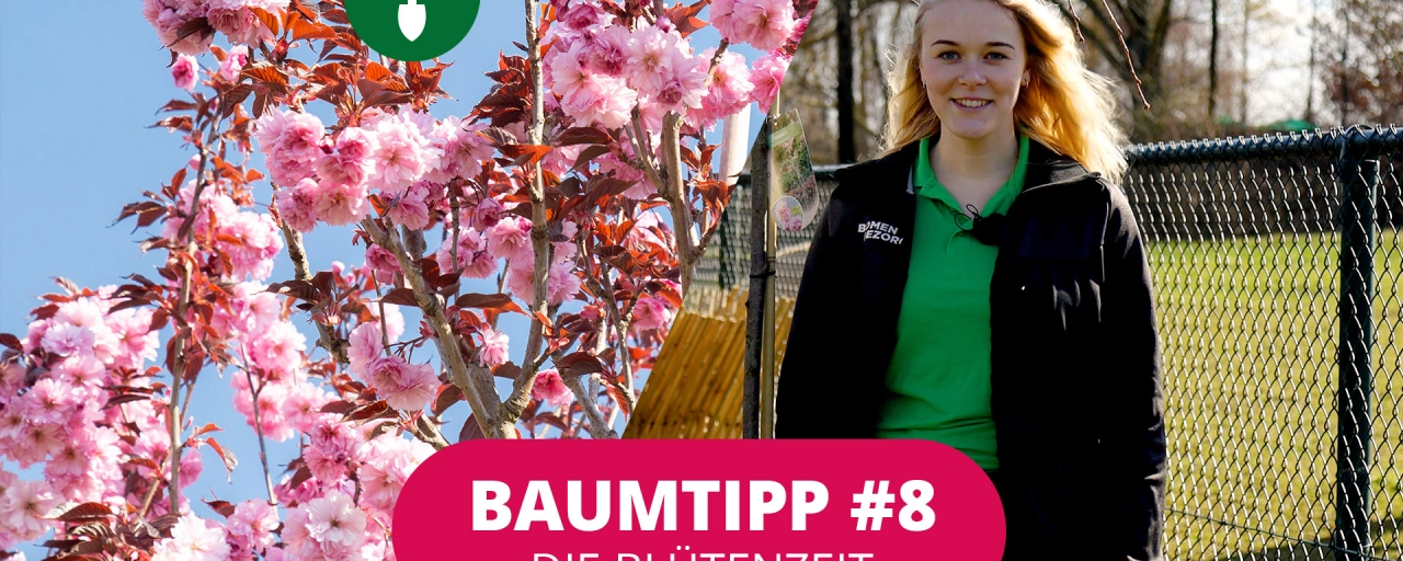 Baumtipp #8 Blütenzeit