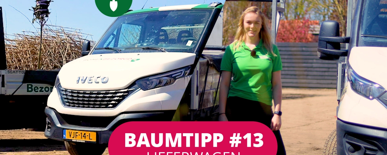 Baumtipp #13 Lieferwagen