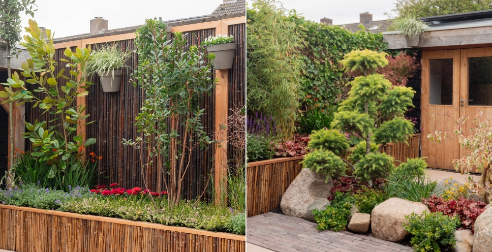 7 Bäume, die perfekt in einen Japandi-Garten passen