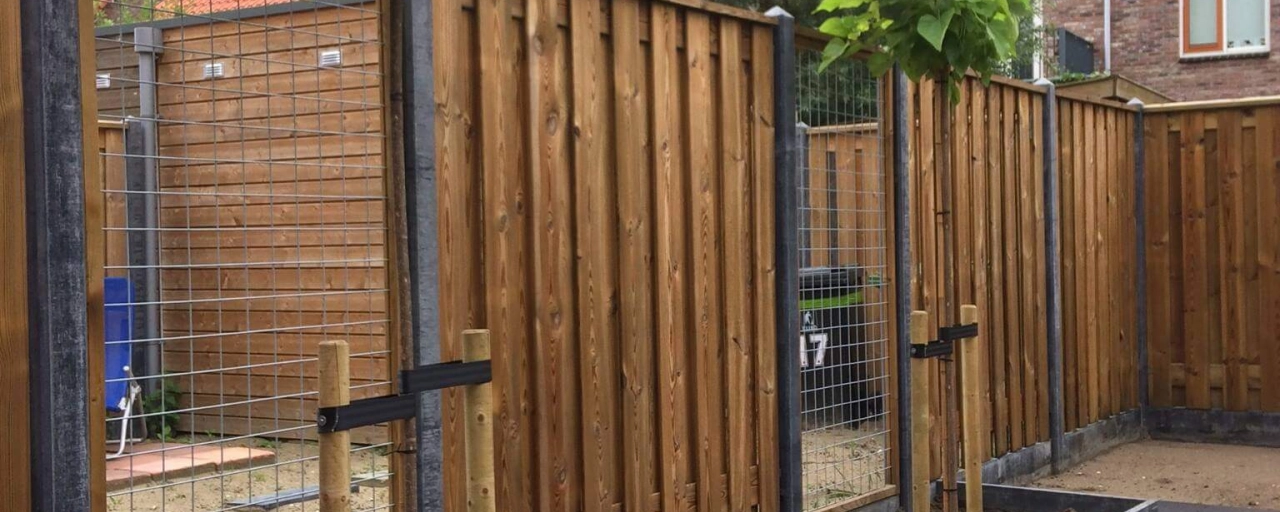 Baumarten: Welche Arten von Bäumen können Sie in Ihrem Garten pflanzen?