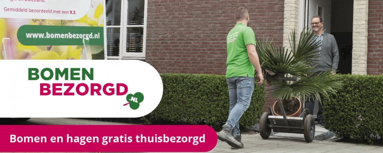 Baumarten: Welche Arten von Bäumen können Sie in Ihrem Garten pflanzen?