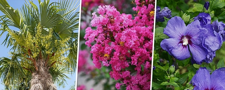 Gartenkalender Mai: der Monat des Wachstums, der Pflege und der Struktur