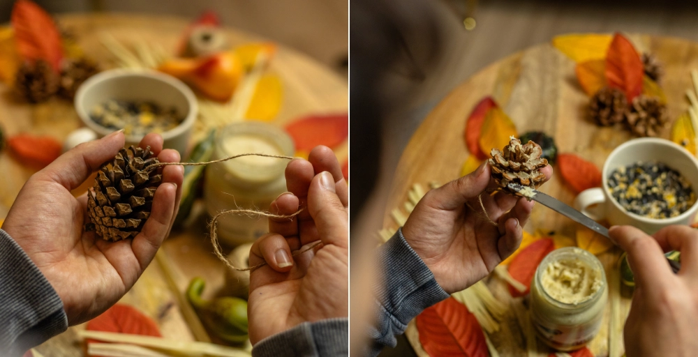 Fettkugeln für Vögel ganz einfach selber machen