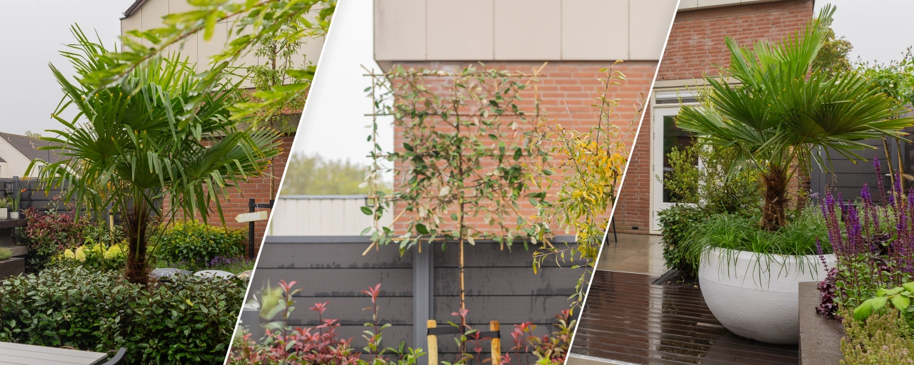 Tropischer Garten | Die Große Gartenverwandlung Folge 11