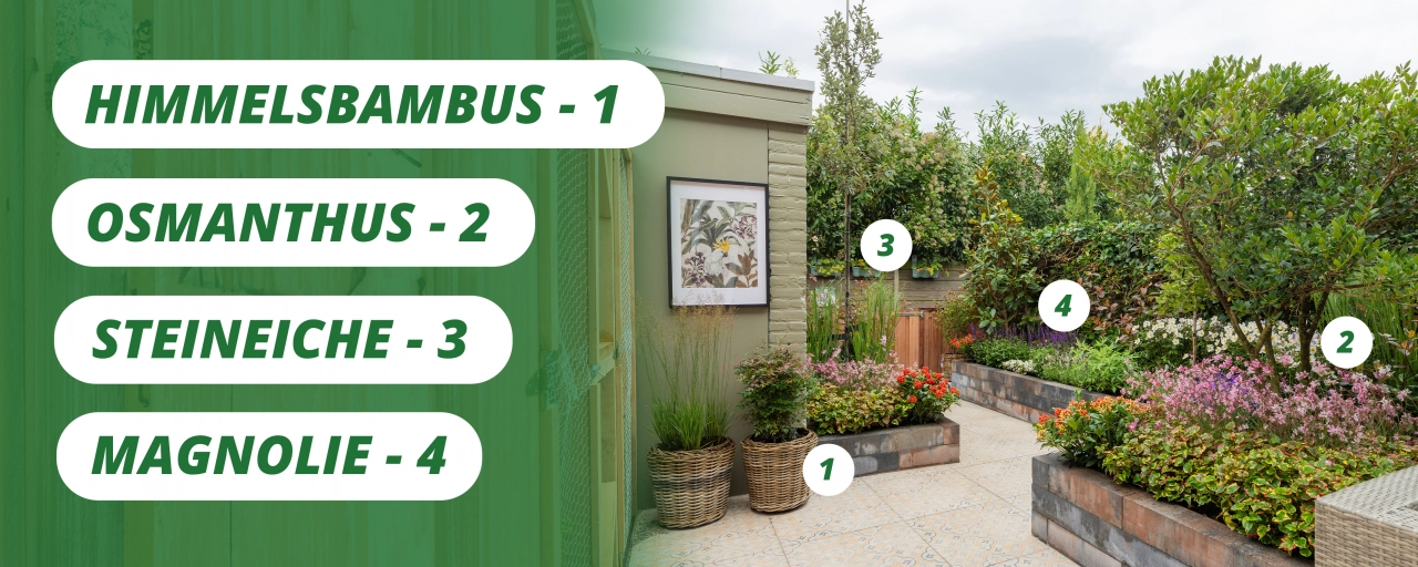 Grüne Oase | Die Große Gartenverwandlung Folge 8