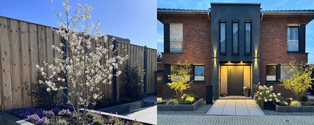 Was sind die 8 beliebtesten Bäume 2025?