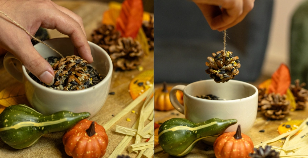 Fettkugeln für Vögel ganz einfach selber machen