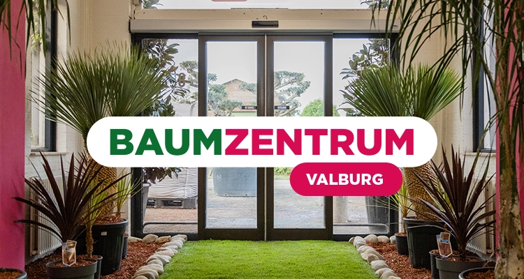 Baumzentrum