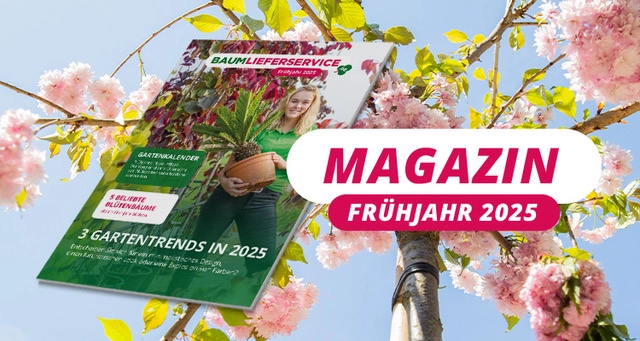 Magazin Frühjahr 2025