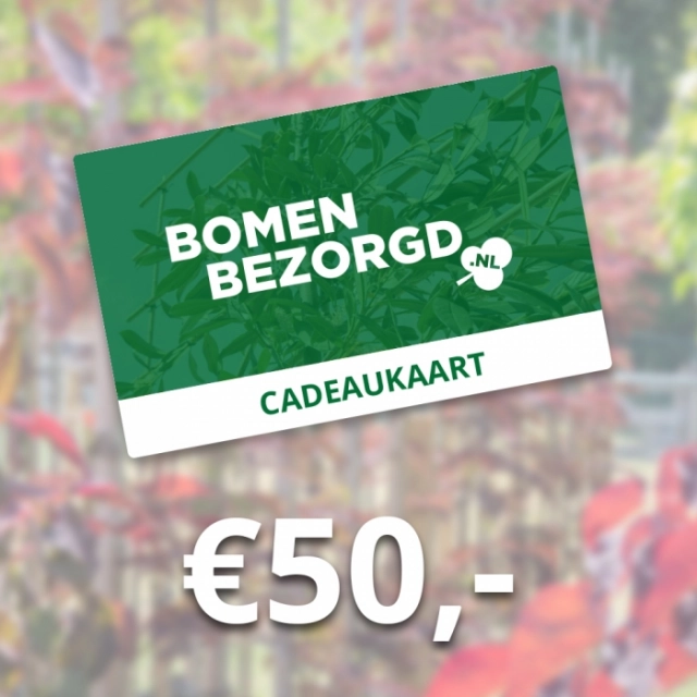 Geschenkkarte 50 €