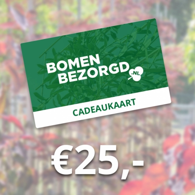 Geschenkkarte 25 €