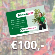 Baumbon 100 €