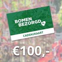 Geschenkkarte 100 €