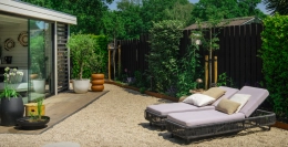 7 Bäume, die perfekt in einen Japandi-Garten passen