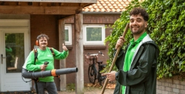 Gartenkalender November | November im Garten: schneiden, pflanzen und schützen