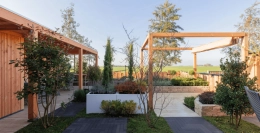 Gartenarbeit im Januar | Bäume schützen und Vögel helfen