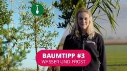 Baumtipp #3 Wasser und Frost