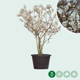 Alle Produkte in taxon_name anzeigen