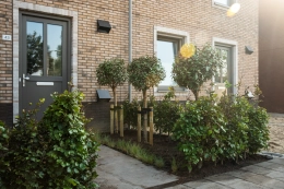 Privatsphäre reicher Vorgarten