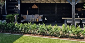 Vor- und Nachteile des portugiesischen Lorbeers