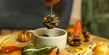 Fettkugeln für Vögel ganz einfach selber machen