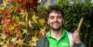 Gartenkalender Oktober: Bäume pflanzen & Garten vorbereiten