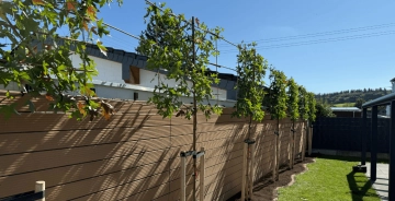 BAUMTIPP #27 | Gießen nach dem pflanzen