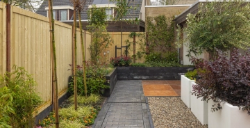 Gartenkalender Februar | Vorbereitungen für den Frühling